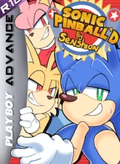 Sonic Pinball’d (Sonic The Hedgehog) [Senshion]