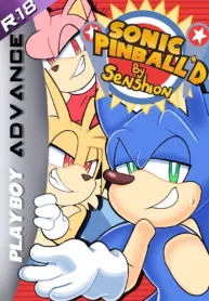 Sonic Pinball’d (Sonic The Hedgehog) [Senshion]